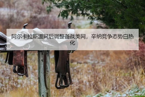 a-er-ka-la-si-wen-wang-hou-tiao-zheng-bei-zhan-mei-wang-xin-na-jing-zheng-tai-shi-bai-re-hua-2-820.jpg