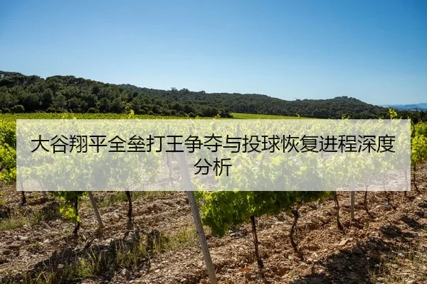 大谷翔平全垒打王争夺与投球恢复进程深度分析