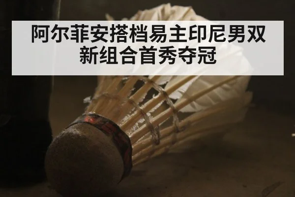 阿尔菲安搭档易主印尼男双新组合首秀夺冠